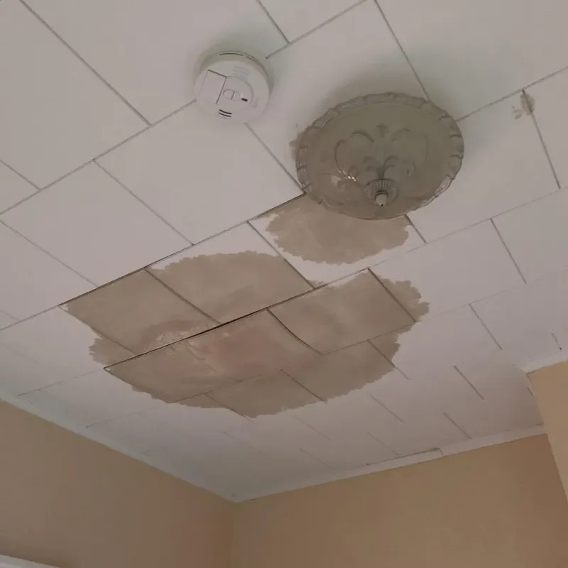 Ceiling Water Damage Repair in Salmon Creek, WA